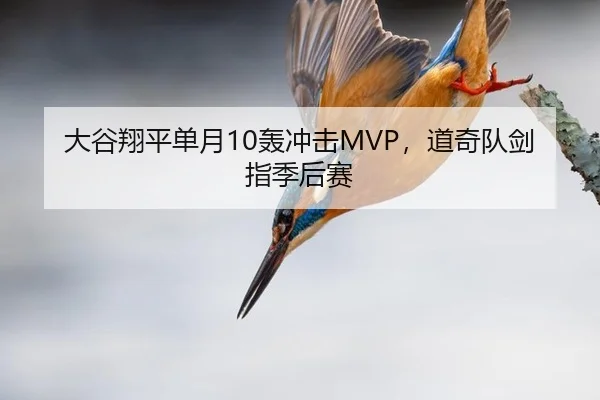大谷翔平单月10轰冲击MVP，道奇队剑指季后赛