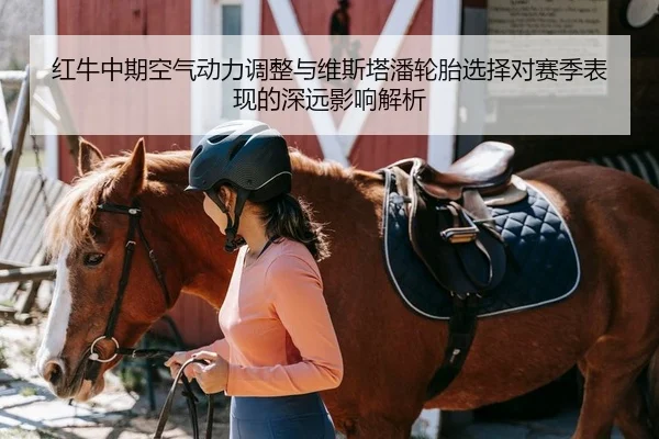 红牛中期空气动力调整与维斯塔潘轮胎选择对赛季表现的深远影响解析 - Leyu